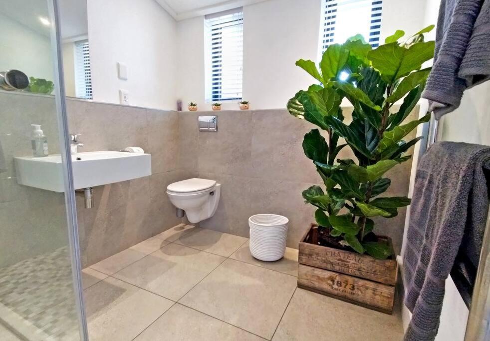 Central Modern Studio Apartment, Hermanus Waterfront Dış mekan fotoğraf